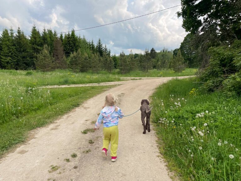 Miks pole hea mõte usaldada koera jalutamine lapse hooleks?