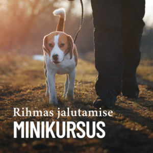 Rihmas jalutamise minikursus
