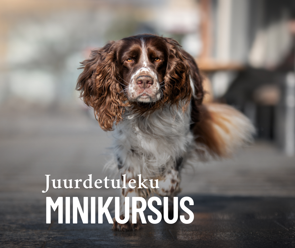 Juurdetuleku minikursus