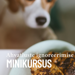Ahvatluste ignoreerimise minikursus