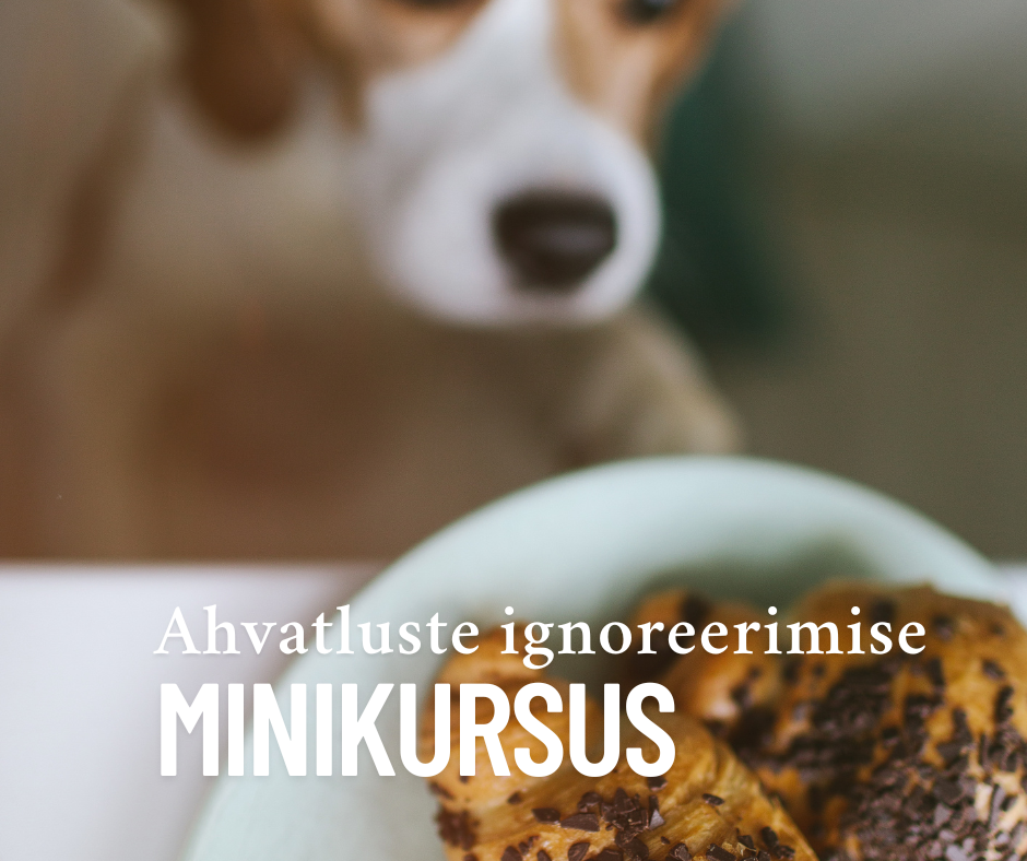 Ahvatluste ignoreerimise minikursus