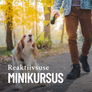 Reaktiivsuse minikursus