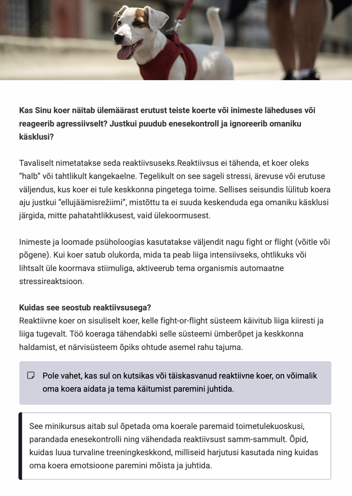 Reaktiivsuse minikursus - Image 2