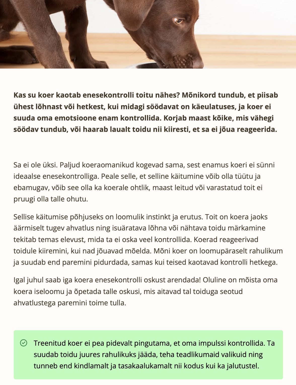 Ahvatluste ignoreerimise minikursus - Image 2