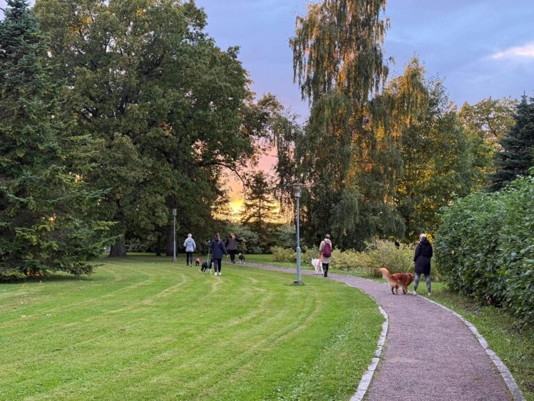 Kuidas oma koera jalutuskäigul päriselt toetada?